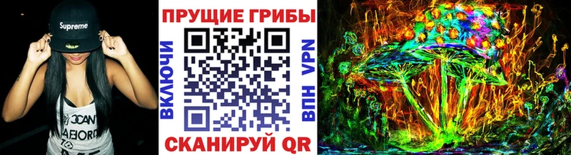 KRAKEN как войти  Таштагол  Галлюциногенные грибы Psilocybine cubensis 